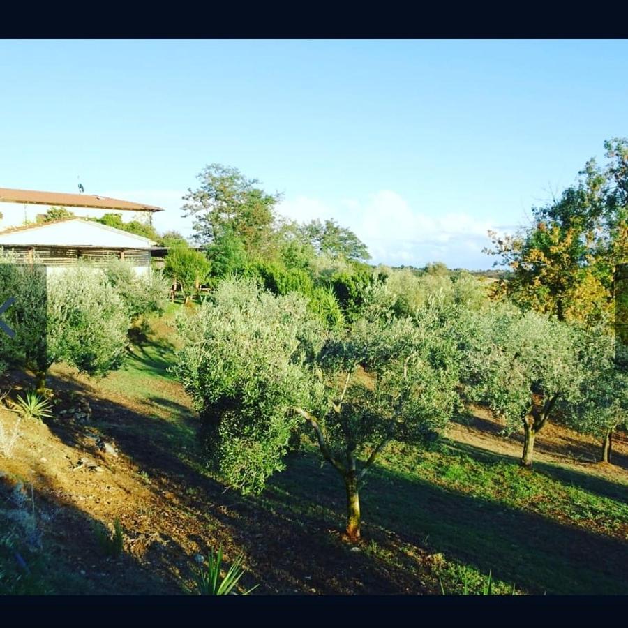 Agriturismo Colleverde Capalbio Εξωτερικό φωτογραφία
