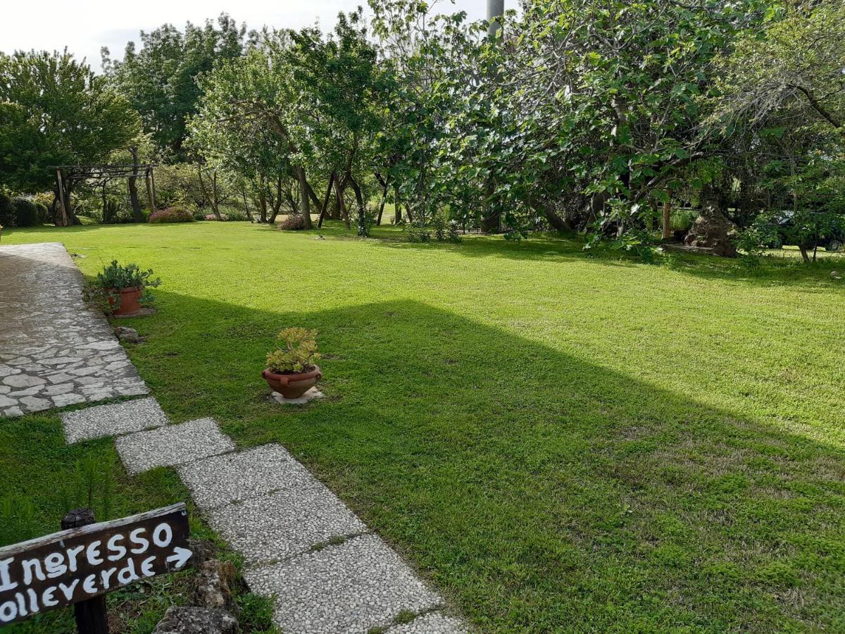 Agriturismo Colleverde Capalbio Εξωτερικό φωτογραφία