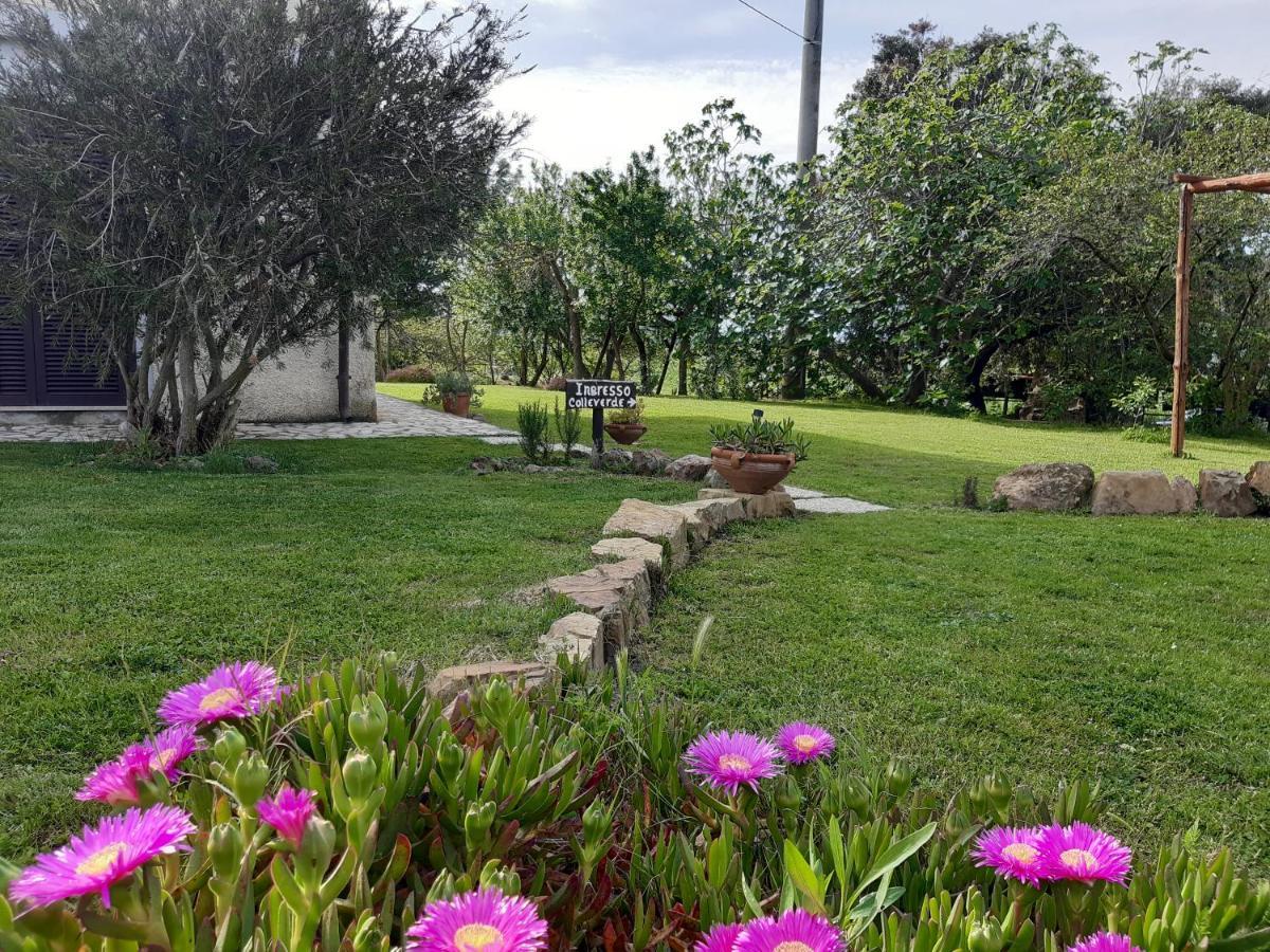 Agriturismo Colleverde Capalbio Εξωτερικό φωτογραφία