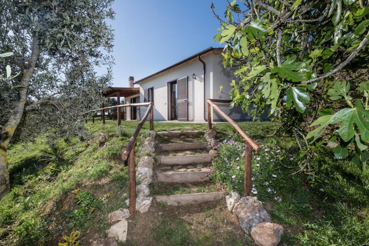 Agriturismo Colleverde Capalbio Εξωτερικό φωτογραφία