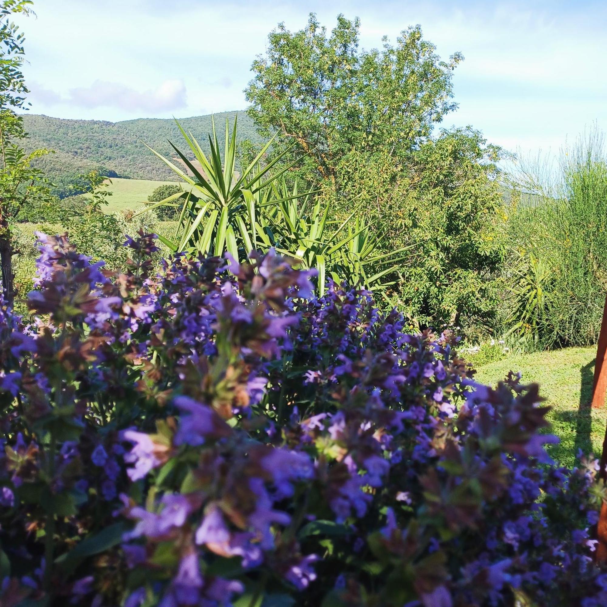 Agriturismo Colleverde Capalbio Εξωτερικό φωτογραφία