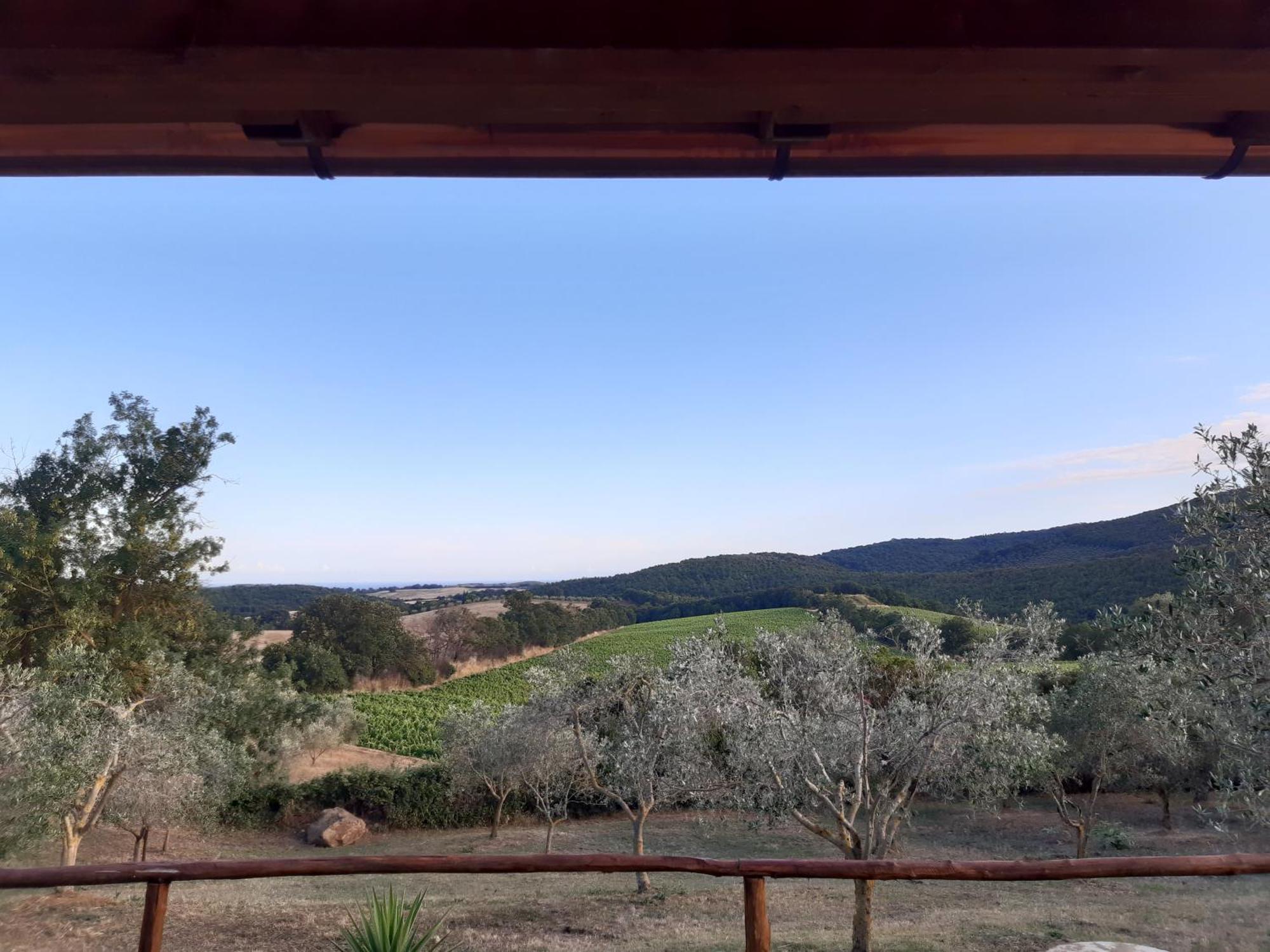 Agriturismo Colleverde Capalbio Δωμάτιο φωτογραφία
